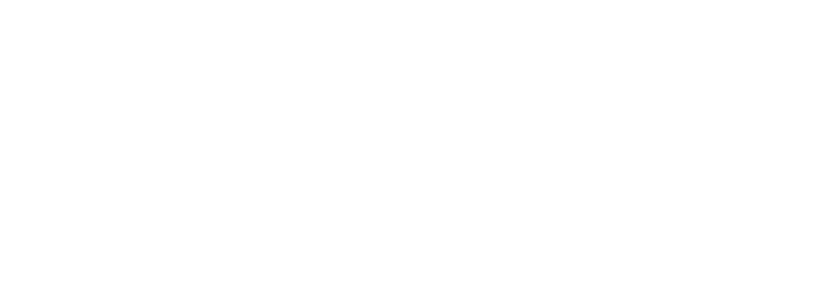 Logo-DVC-Vieira-WTE-NB-V2